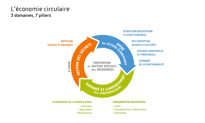 schéma des 7 piliers de l’économie circulaire d’après l’ADEME